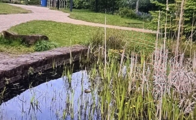 Blog Header Image